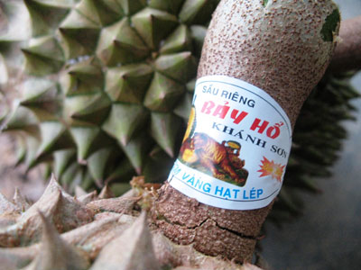 nhãn dán cuống sầu riêng