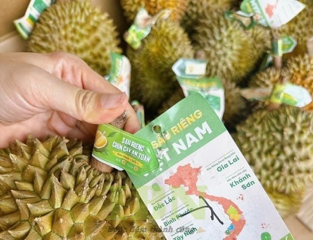 tem nhãn dán cuống sầu riêng