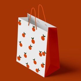 Dịch vụ thiết kế và in túi giấy mọi số lượng, giá rẻ tại Doozypack