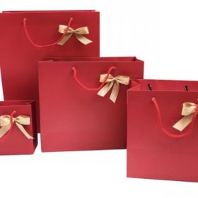 Xưởng in túi đựng quà Tết đẹp, ấn tượng, giao nhanh TP. HCM