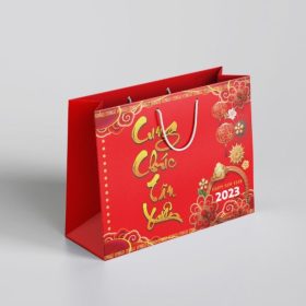 Xưởng in túi đựng quà Tết đẹp, ấn tượng, giao nhanh TP. HCM