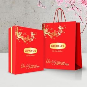 Xưởng in túi đựng quà Tết đẹp, ấn tượng, giao nhanh TP. HCM