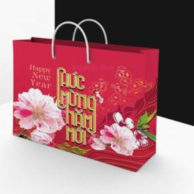 Xưởng in túi đựng quà Tết đẹp, ấn tượng, giao nhanh TP. HCM