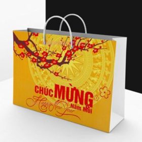 Xưởng in túi đựng quà Tết đẹp, ấn tượng, giao nhanh TP. HCM