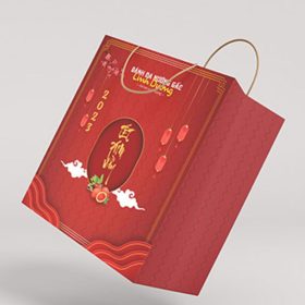 Xưởng in túi đựng quà Tết đẹp, ấn tượng, giao nhanh TP. HCM