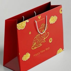 Xưởng in túi đựng quà Tết đẹp, ấn tượng, giao nhanh TP. HCM