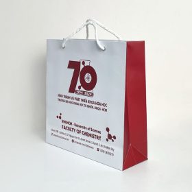 Xưởng in túi giấy giá rẻ Doozypack tại TP. HCM