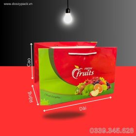 Xưởng in túi giấy đựng hoa quả, trái cây đẹp, chất lượng giá rẻ tại HCM