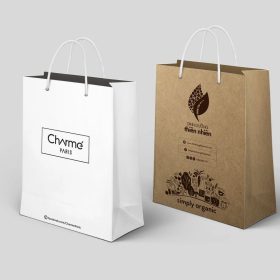 Mẫu túi giấy cỡ lớn
