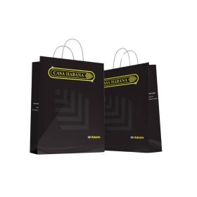 Mẫu túi giấy duplex