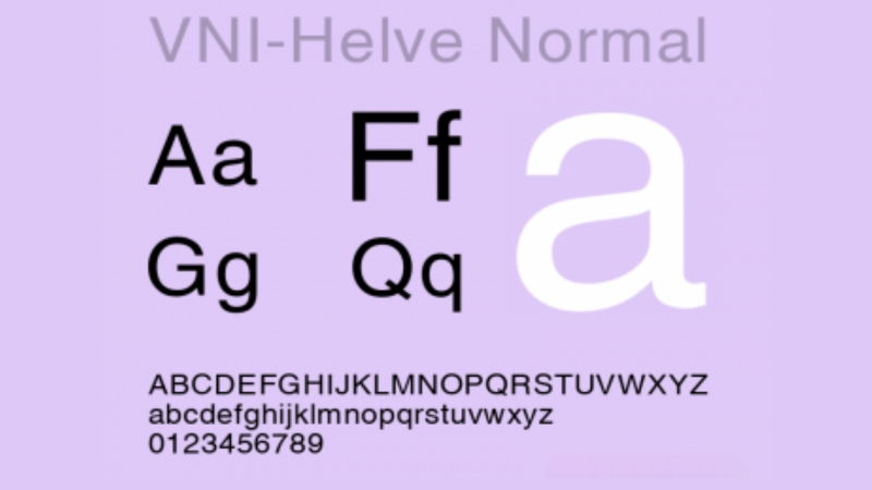 Ảnh web (800 x 500 px) (640 x 360 px)