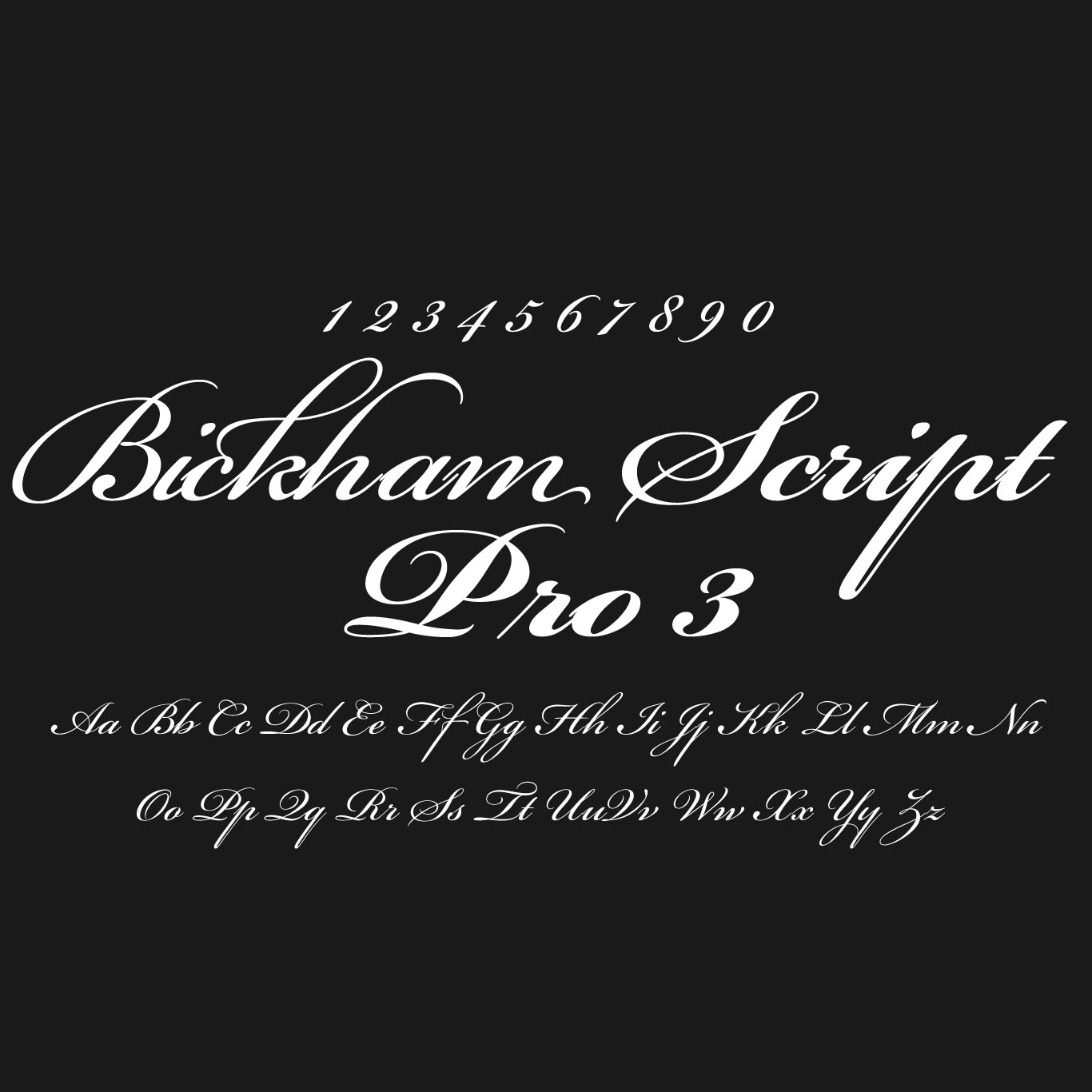 bickham-script-pro-viet-hoa-2