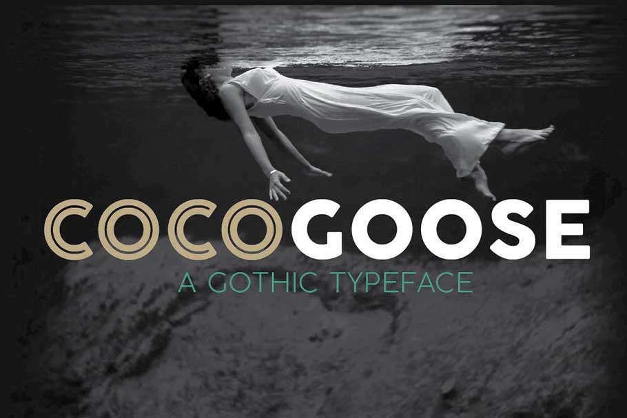 cocogoose-font-viet-hoa-6