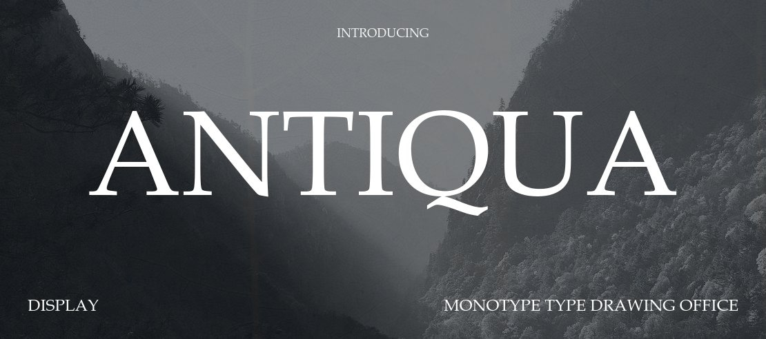 font-book-antiqua-viet-hoa-2