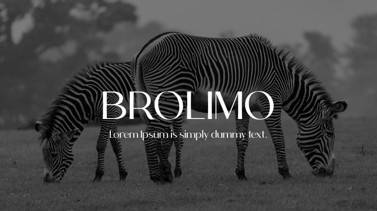 font-brolimo-viet-hoa-2