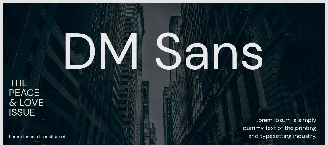 font-dm-sans-4