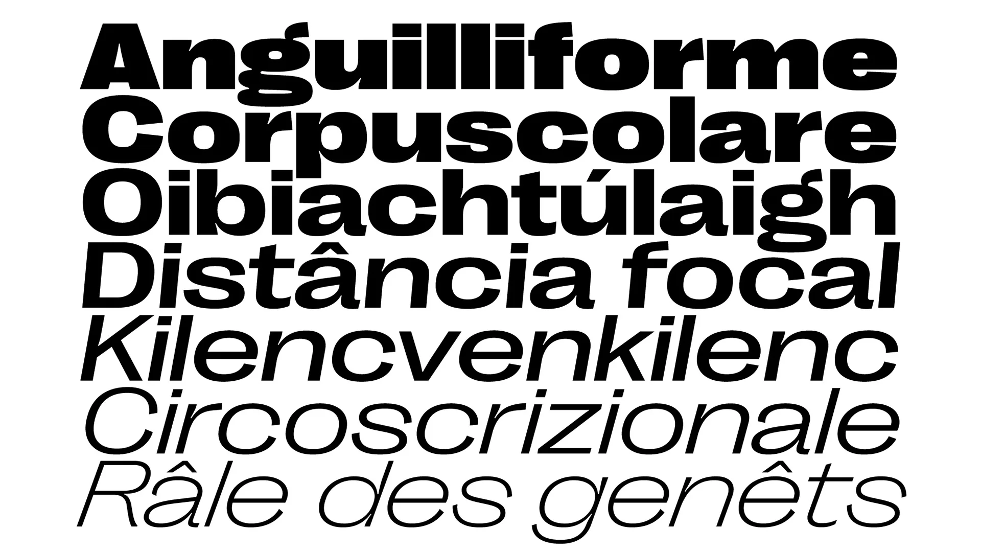 font-grotesk-viet-hoa-4