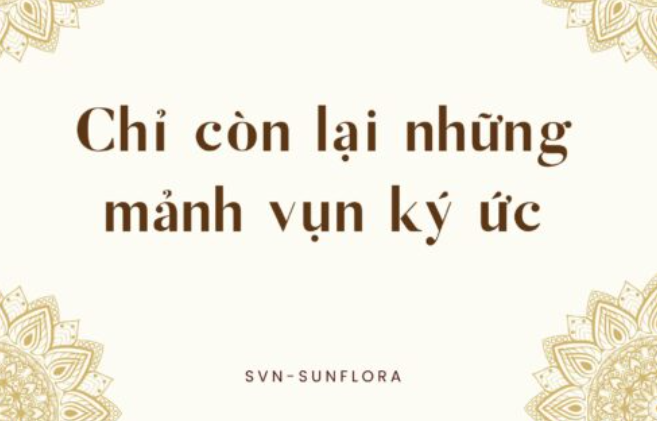 svn-sunflora