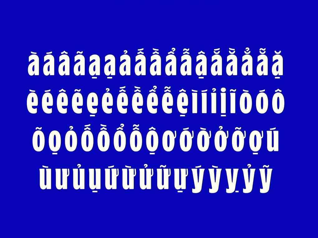 vnm-sans-std-font-3