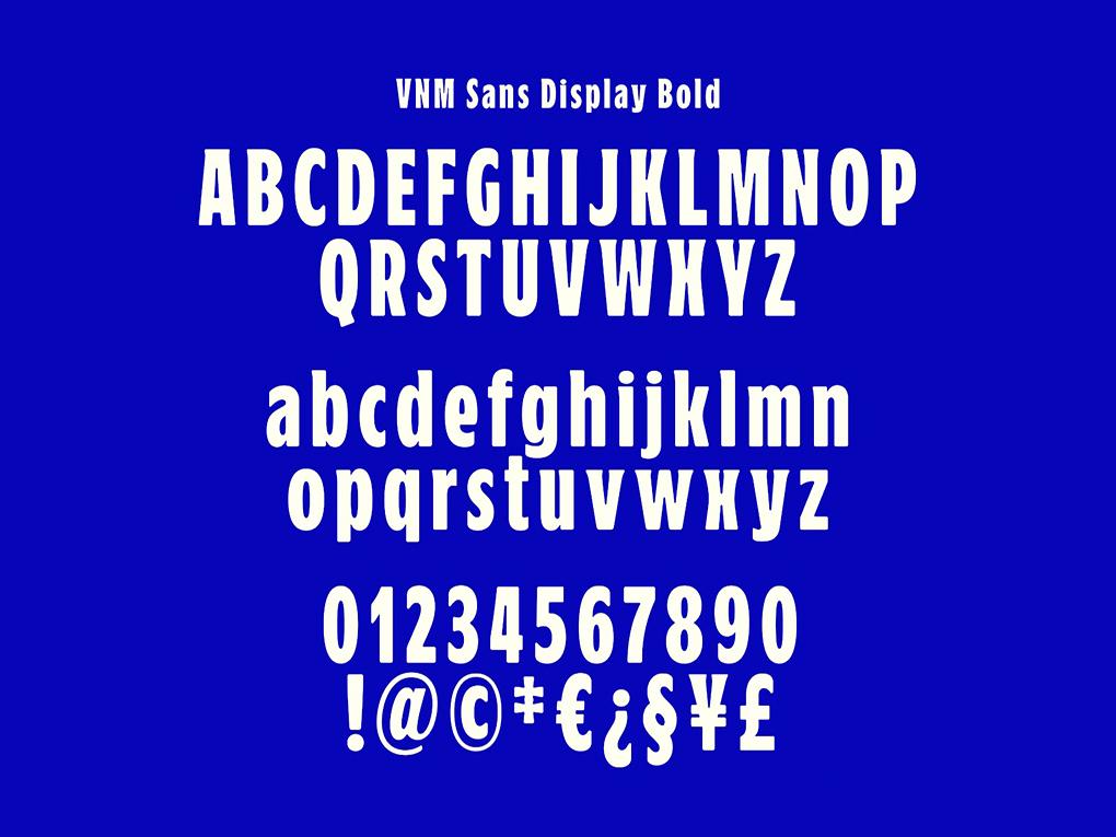 vnm-sans-std-font-4